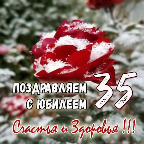 С днем рождения 35