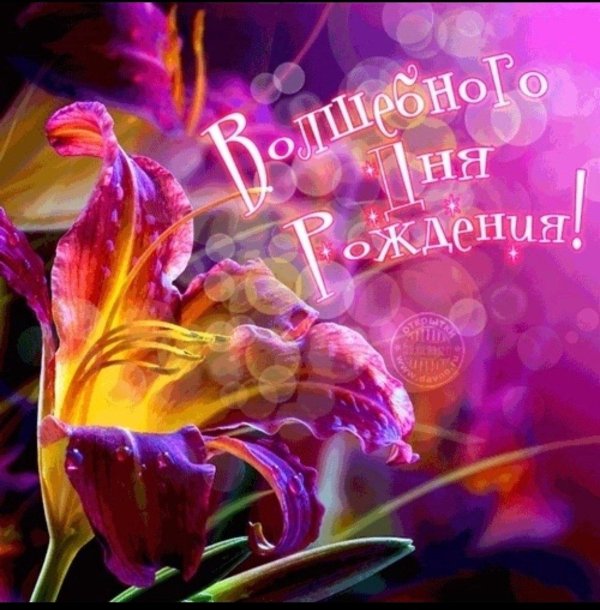 волшебного дня рождения