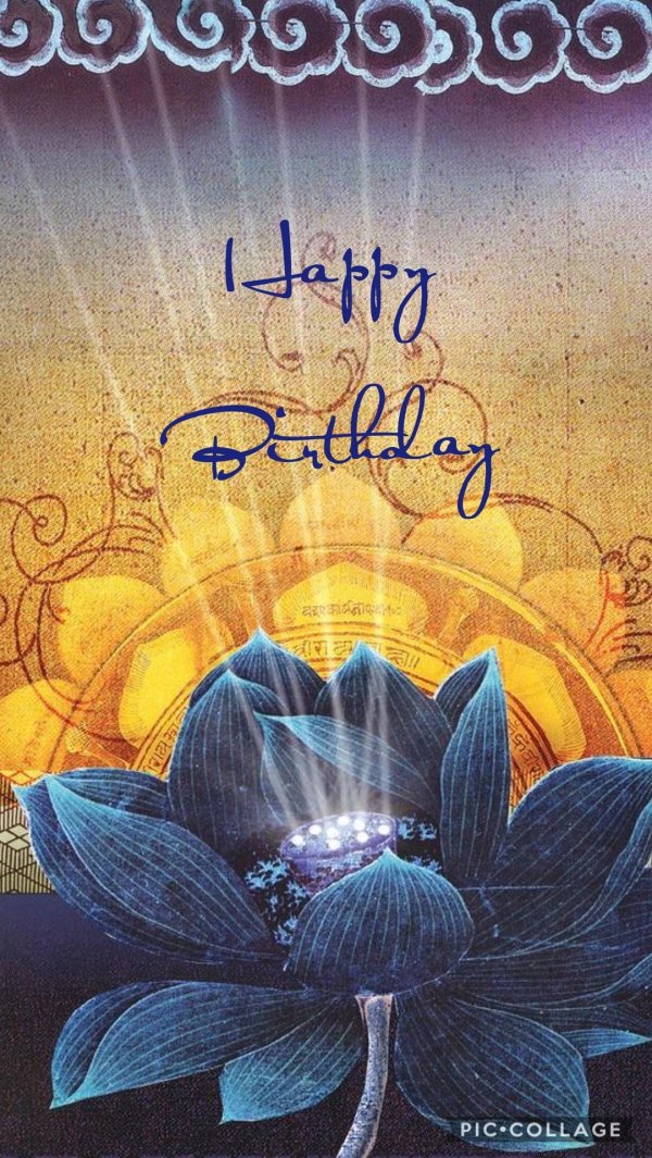 лотос сверкающий