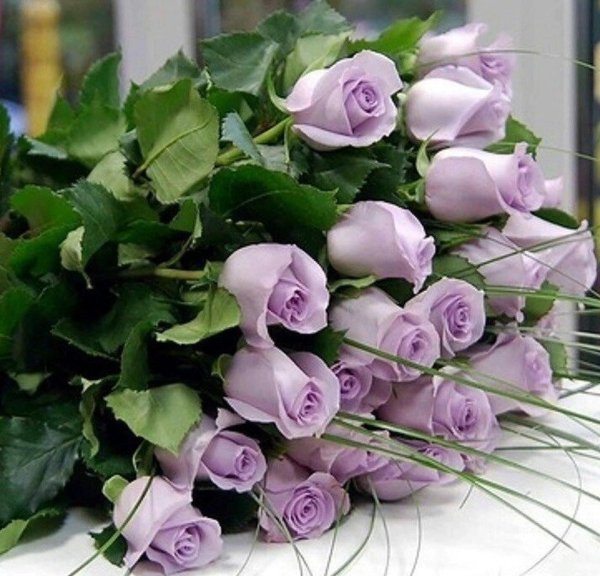 букет фиолетовых роз