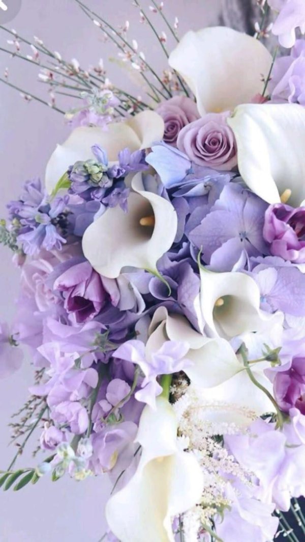 красивая букет