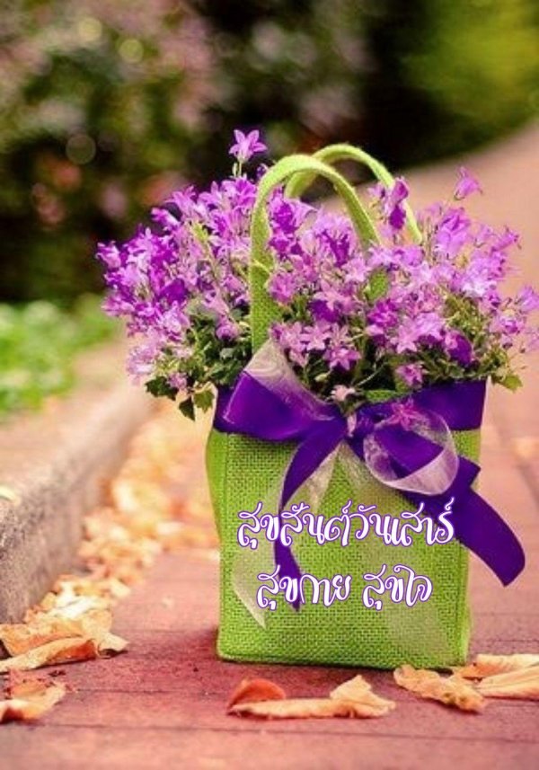 кампанула берник