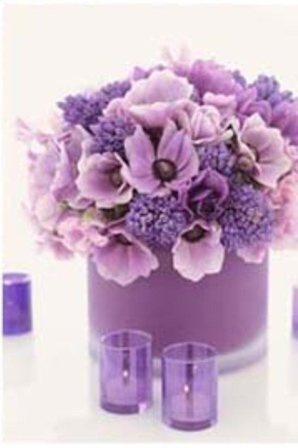 фиолетовые цветки