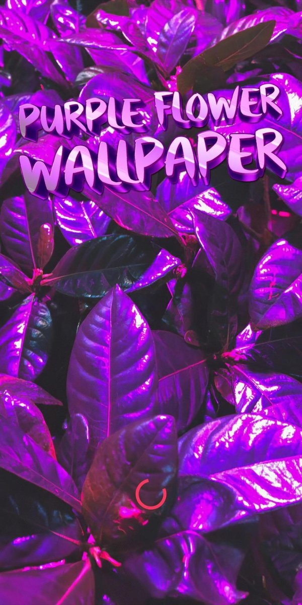 ультрафиолетовый фон