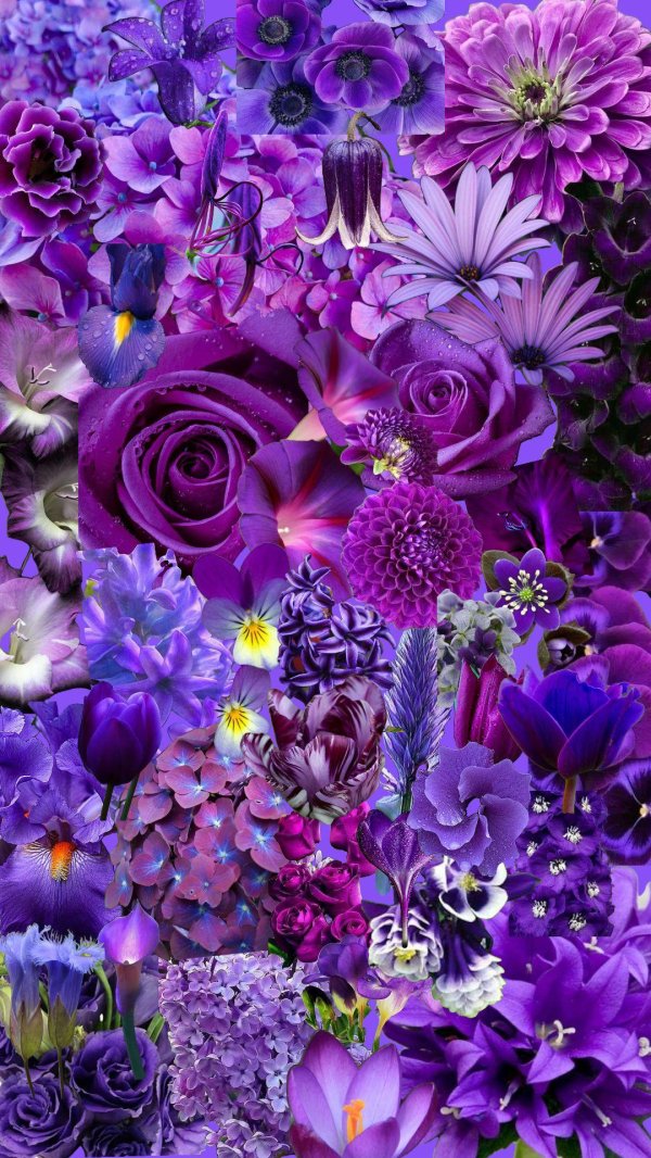 цветочные фоны