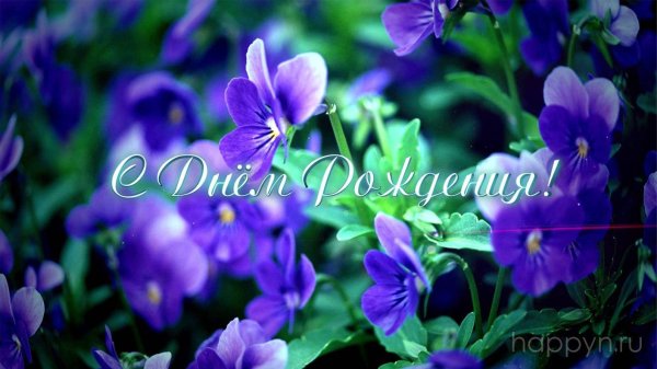 лесная фиалка