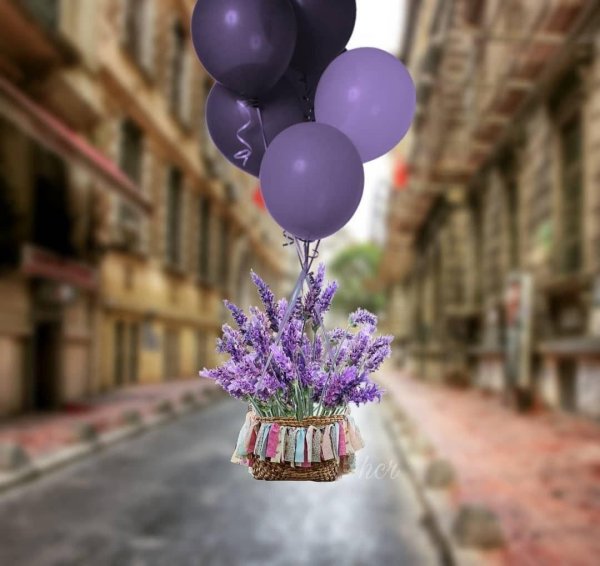 лавандовое поле