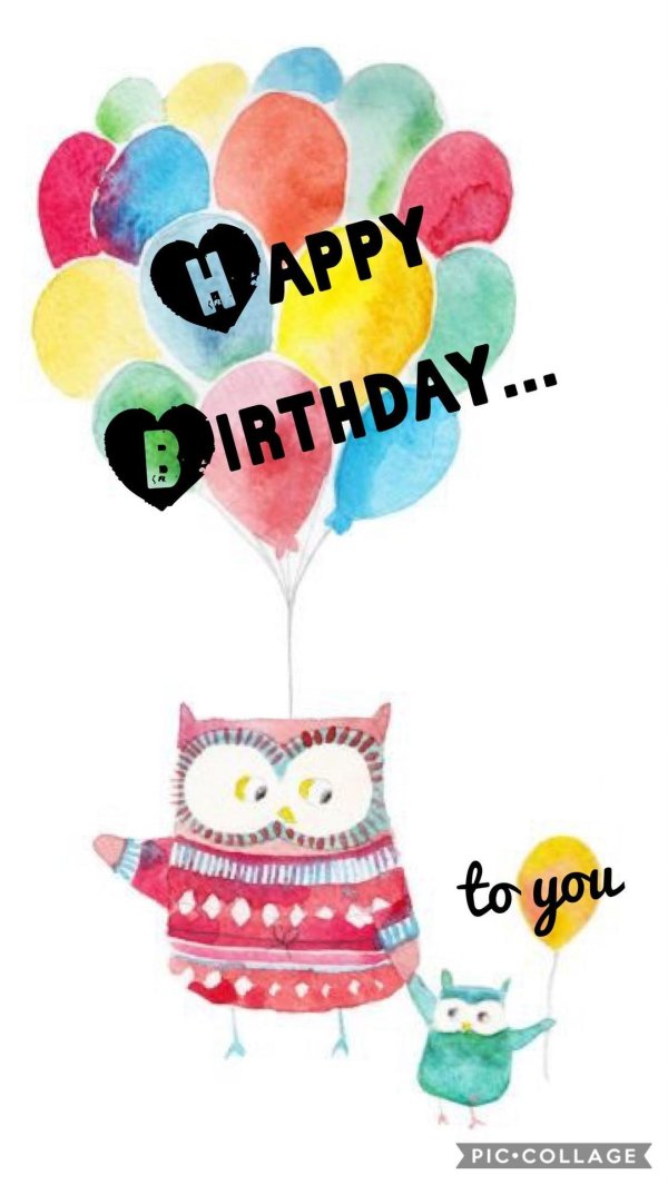 birthday owl