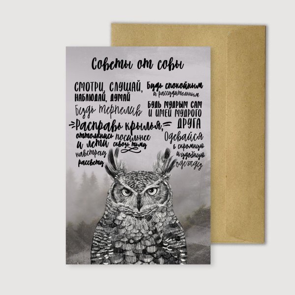 сова мудрости