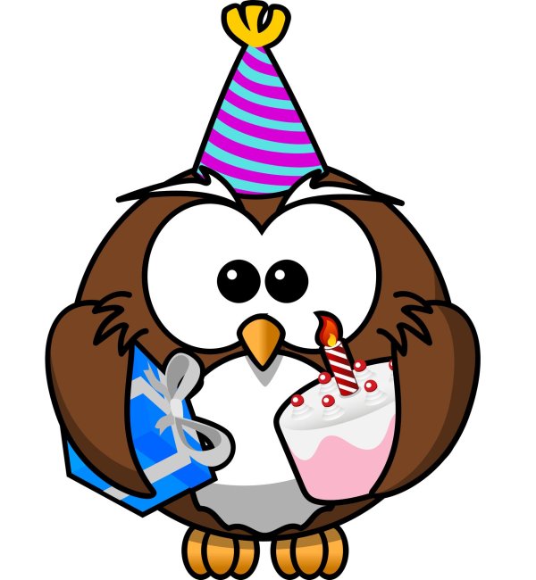 новогодние совы