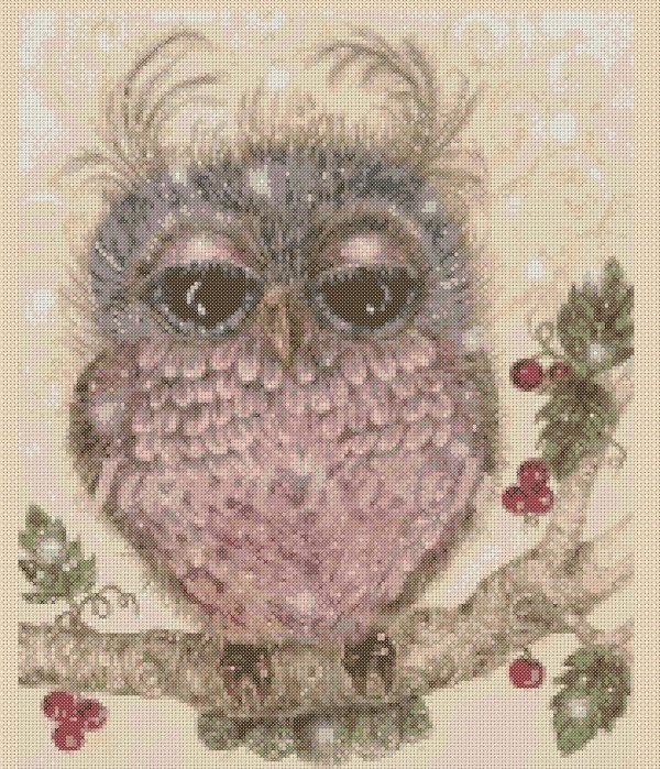 Сова с днем рождения