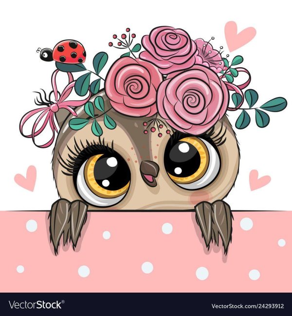 милая совушка