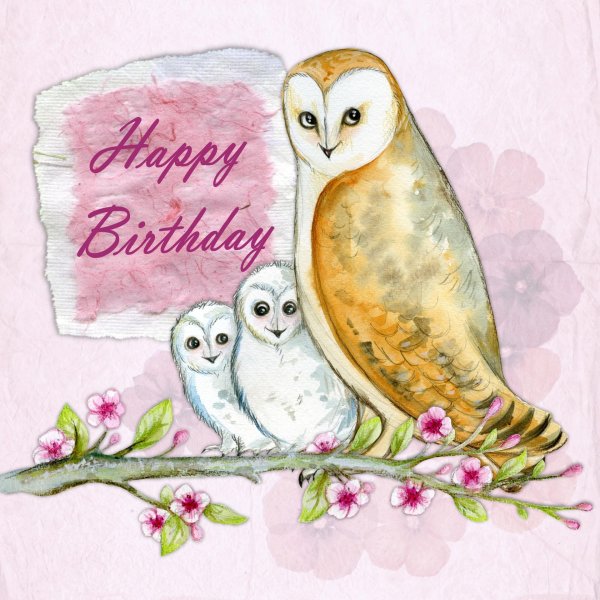 обыкновенная сипуха