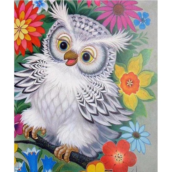 белый совенок