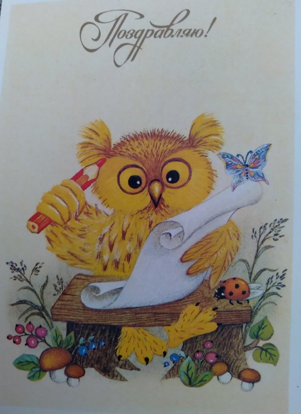 поздравляю сова