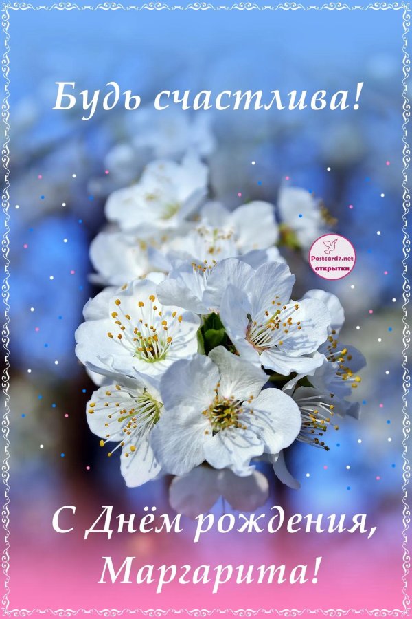 маргарита с днем рождения