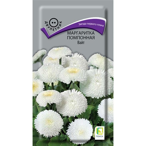 маргаритка белый шар