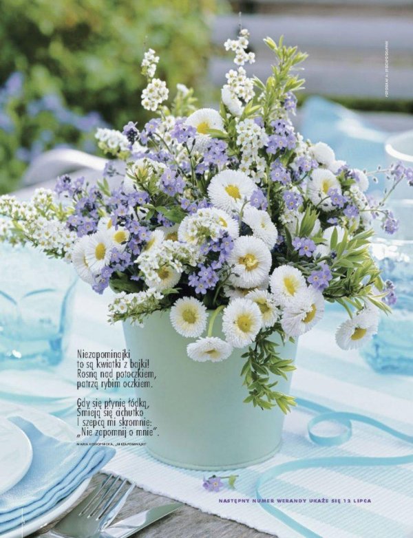 букет маргариток