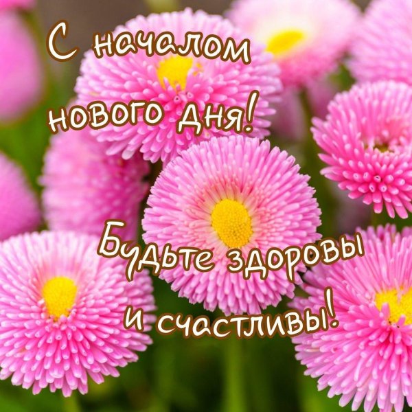 красивые пожелания с добрым утром