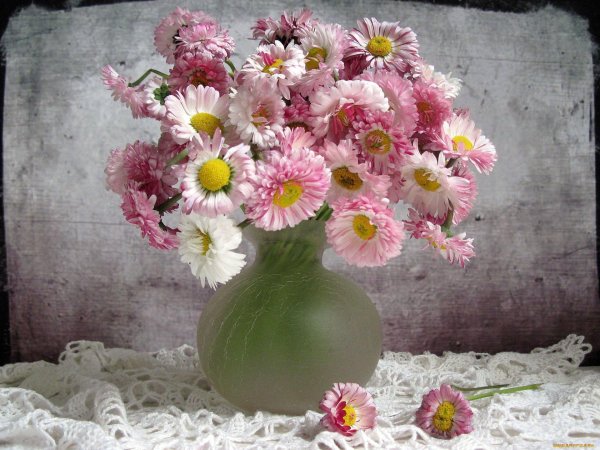 букетик маргариток