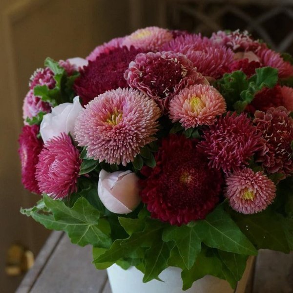 астра букетная