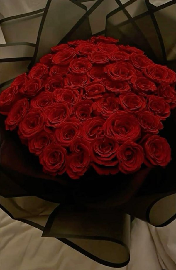 51 роза ред наоми