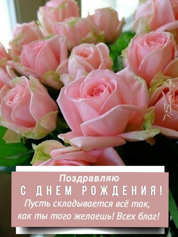 шикарные цветы
