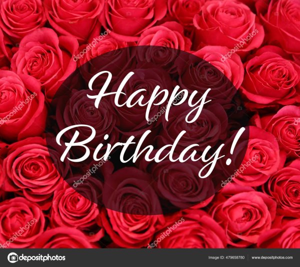 розы поздравление