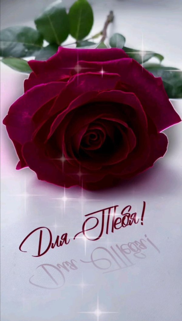 цветы для тебя