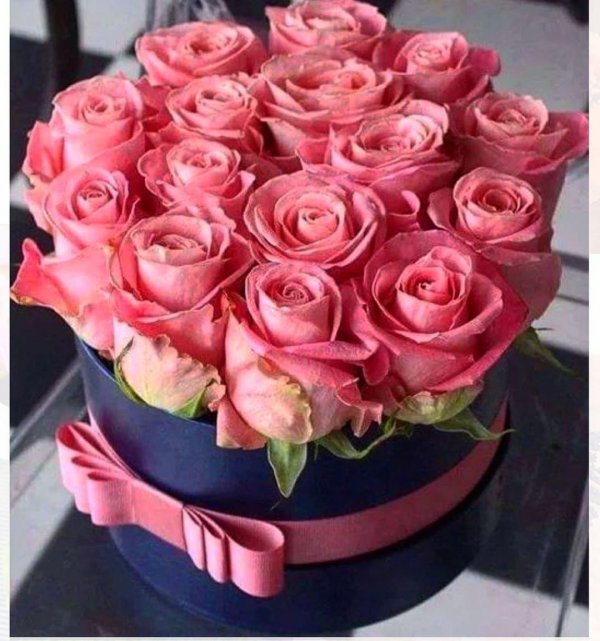 цветы в коробке