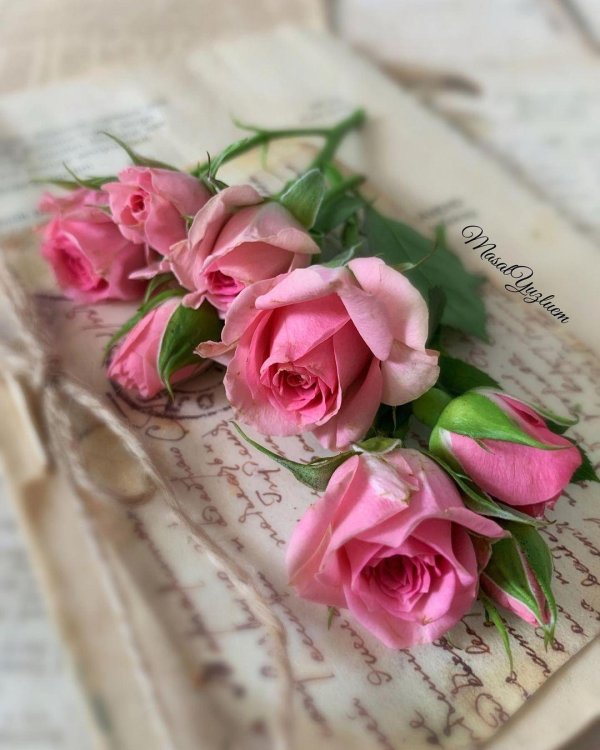 поздравительная открытка