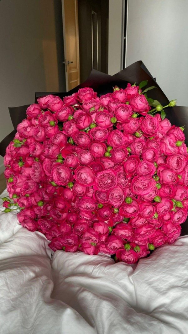 пионовидная роза мисти баблс