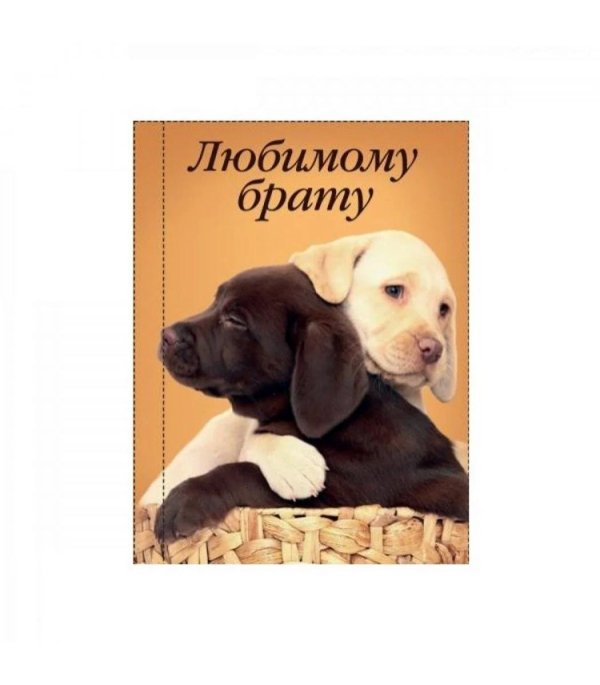 моему брату