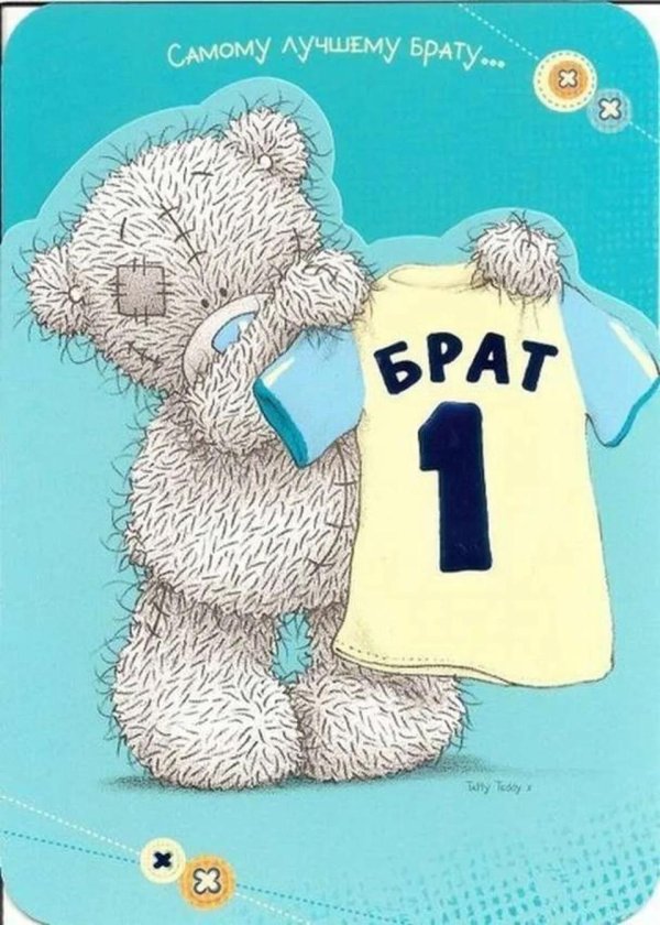 мишка тедди