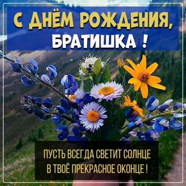 поздравления с днём рождения братау