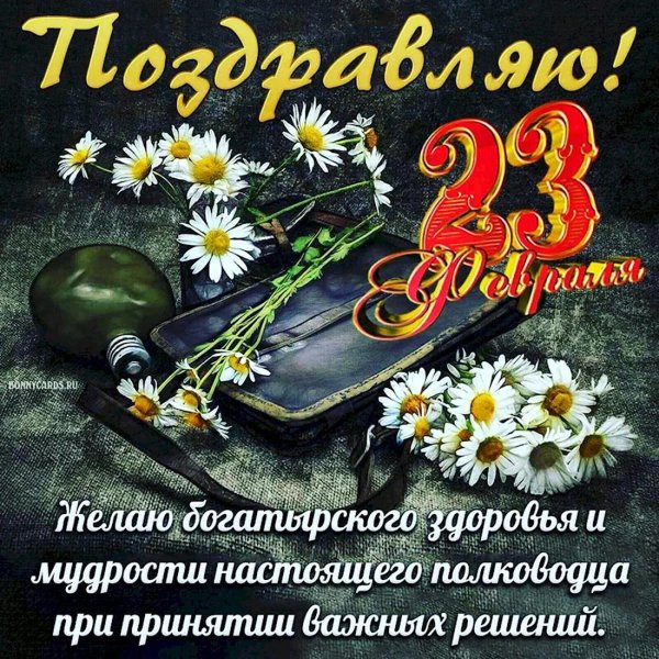 23 февраля красивые поздравления