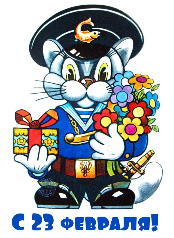 23 февраля кот
