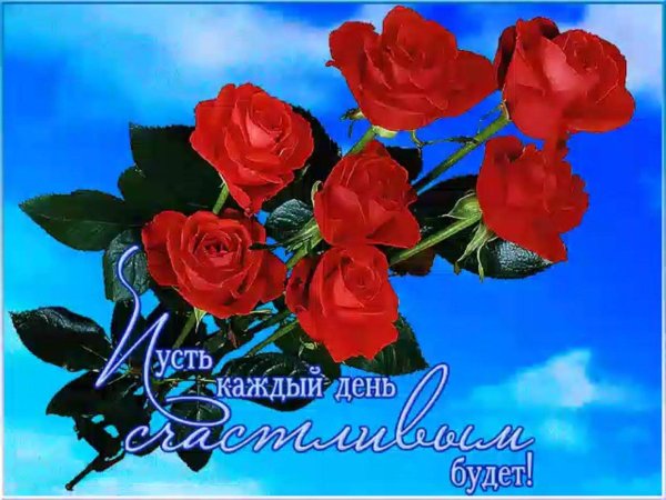 открытки поздравления на каждый день