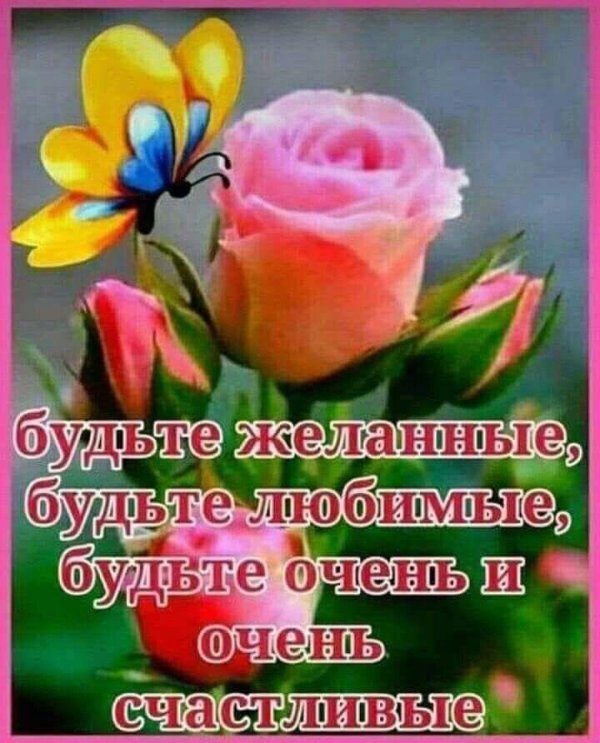 красивая цветы