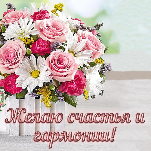 цветов букет