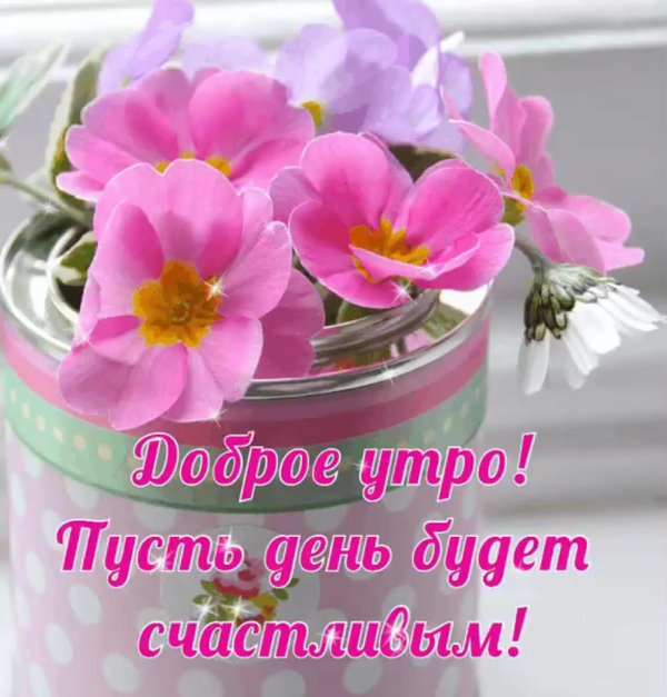 хорошего дня цветы красивые