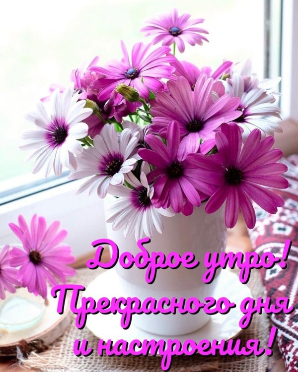 чудесного утра