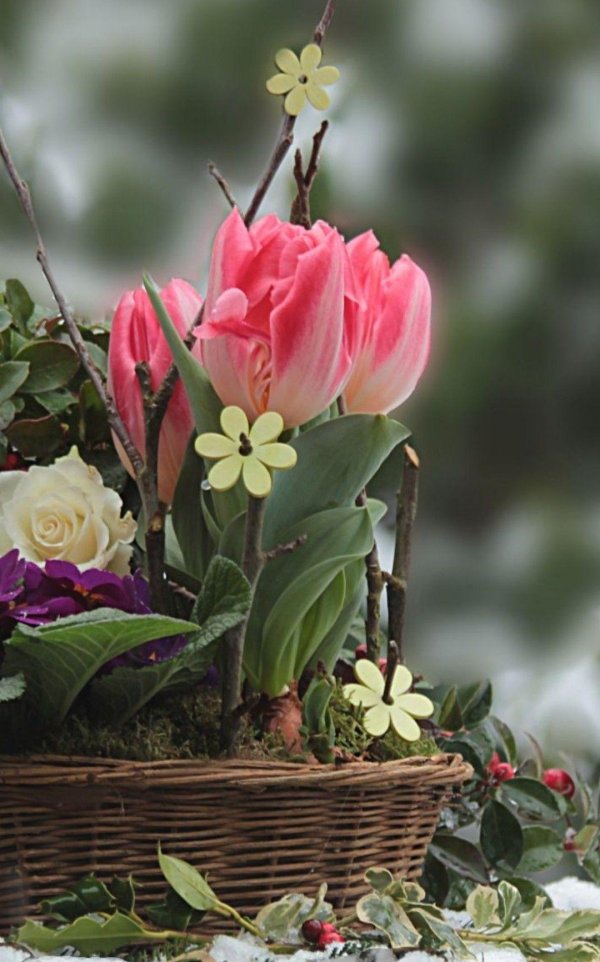 весенние композиции