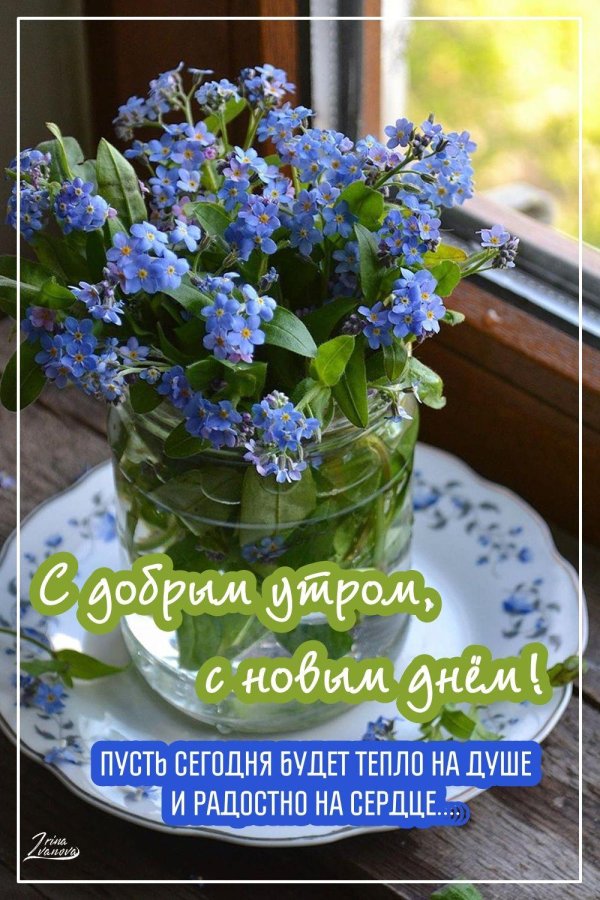 Счастливого дня с пожеланиями с цветами