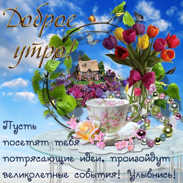 доброе утро и хорошего дня новые