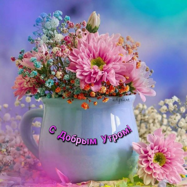 добра утра