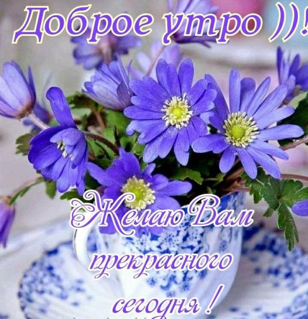 здравствуйте открытка