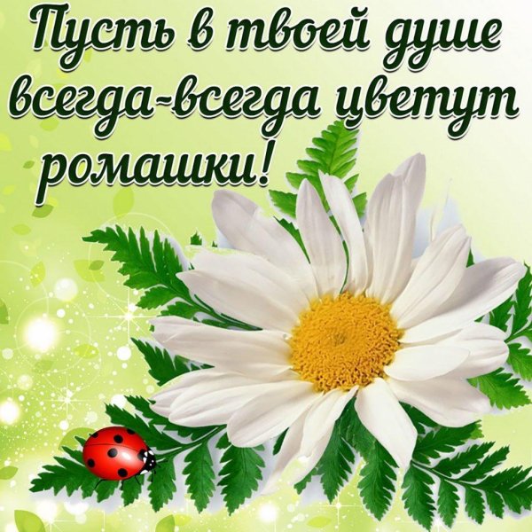 доброе пожелание