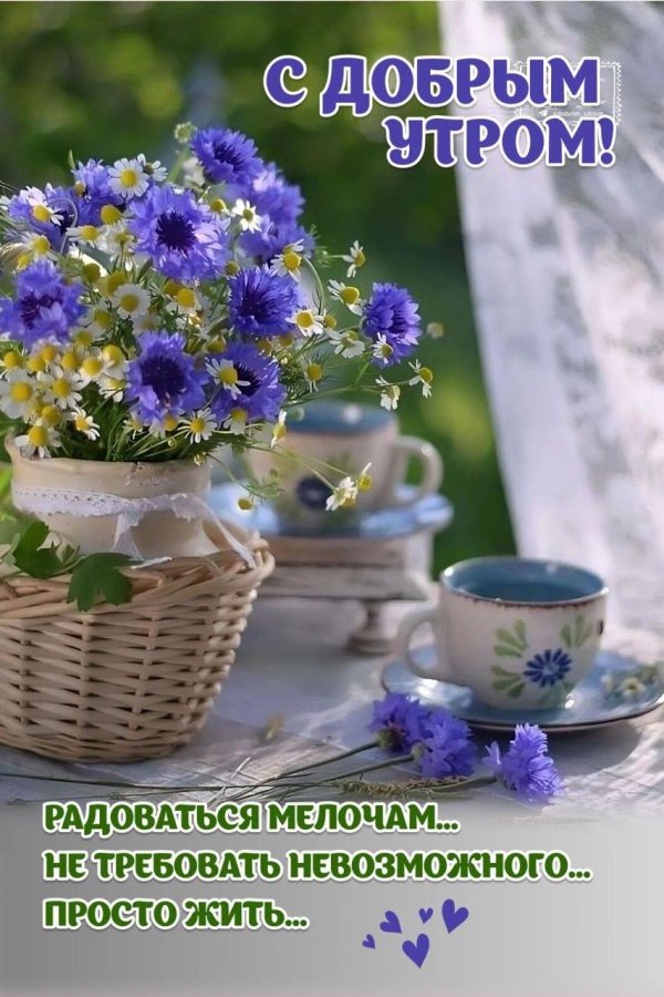 открытка с добрым утром летние