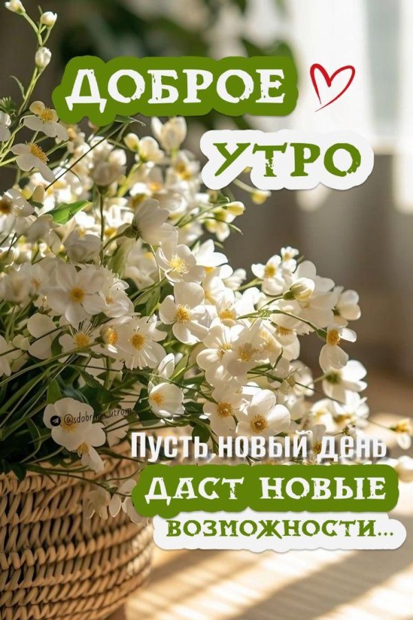 новый день доброе утро